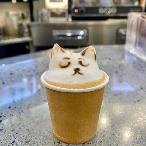 A paper cup of coffee with latte art shaped like a cat's face.