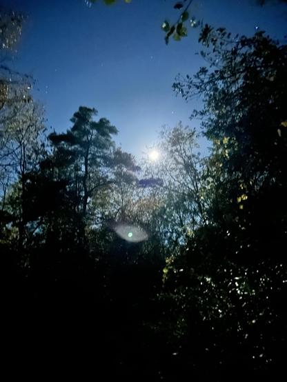 One of these days, I may figure out how to take better pictures of the moon with this phone. The phone lightened the whole thing up, the moon appearing much brighter, and the trees showing a little bit of colour that I couldn’t see with my eyes.