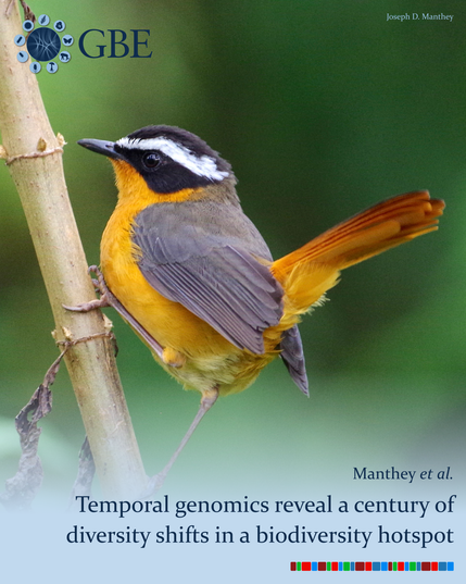 GBE | Temporal Genomics Reveal a Century of Genomic Diversity Shifts Across a Biodiversity Hotspot Avian Assemblage