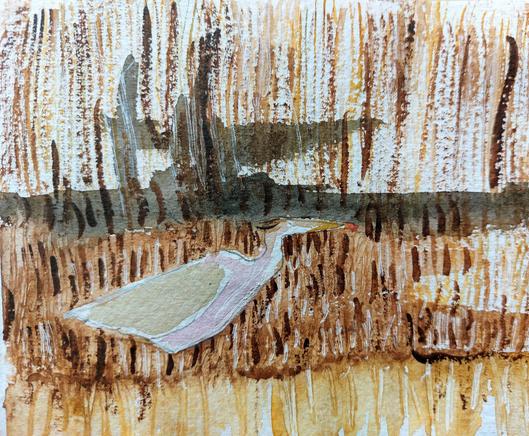 Heron in marsh