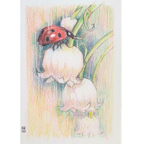 A small drawing of a ladybird sitting on a little flower from a lily of the valley plant. The drawing is on white paper. Many ladybirds are predatory feeding on aphids and, scale insects, they can help keep these insects under control in your garden.
An original art work, please note that the frame is not included.
Colour pencil on white acid free artist paper
Approximately 4 by 6 inches (10.16 x 15.24 cm) will fit into a standard 4 by 6 inch photo frame.