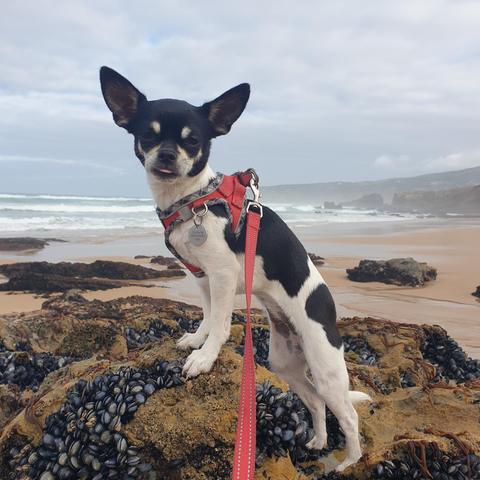 Niki posing