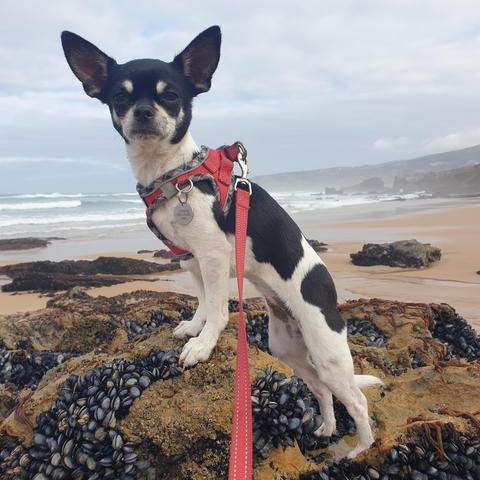 NIki posing on a rock