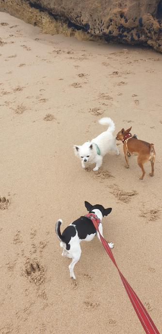 A meeting of lil ones