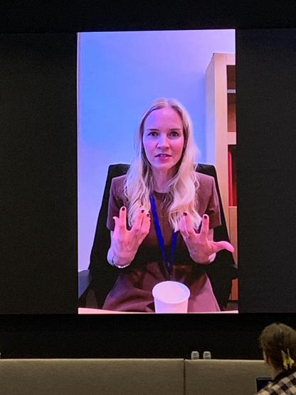 Finnish MEP Aura Salla