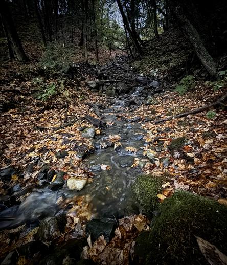 A valley between hillsides which normally has water flowing but has been dry for quite a while, nice to see water flowing again.