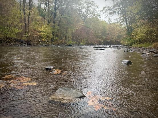 low and long view of the river while standing partway in it as raindrops dapple the surface