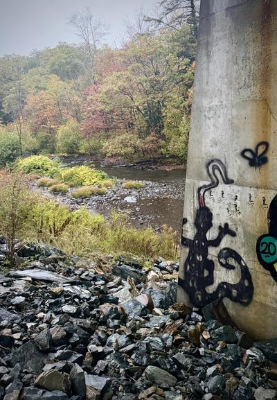 graffiti on corner of cement columns holding up roadway, a lizzard with tongue out but not quite ever getting the fly which is nearby. In the background the low level of river and color of final fall leaves