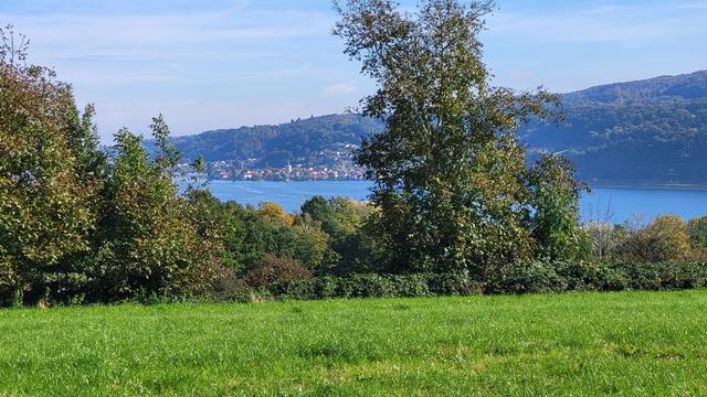 Blick von einer Anhöhe zwischen Bäumen auf den Untersee und ein Dorf am anderen Ufer.
