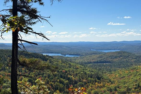 A sweeping landscape view from a high vantage point overlooks a vast expanse of forested hills and valleys. In the foreground, a tall tree with outstretched branches partially frames the scene, adding depth and scale. Below, dense woodland stretches across the terrain, with patches of autumnal color—yellows, oranges, and reds—hinting at seasonal change. Several lakes are nestled among the hills in the middle distance, their surfaces reflecting the blue sky above. The horizon is lined with softly rolling hills and distant mountain ranges beneath a mostly clear sky dotted with scattered clouds