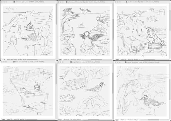 Six sketched of British coastal birds in their habitats including Common Gull, Atlantid Puffin, Curlew, Ruddy Turnstone, Ringed Plover and Little Tern.