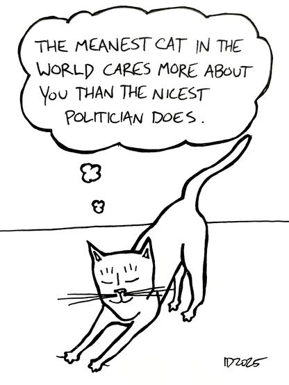 a cat stretches and thinks "the meanest cat in the world cares more about you than the nicest politician does."