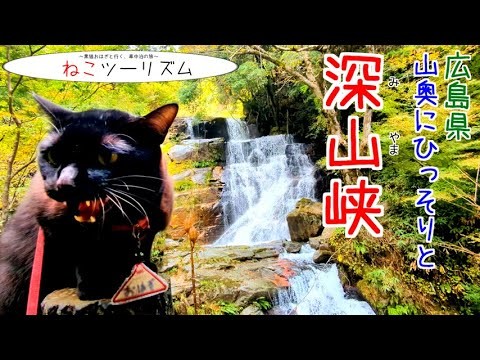 【猫と旅行】静寂の『深山峡』山奥の素敵スポット【広島県】