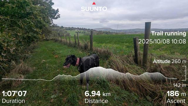 Paddy standing on a grassy path looking into the trees checking for deers. On the other side of a wired fence you can see Pendle Hill in the background. Cloudy day..my running stats imprinted on top