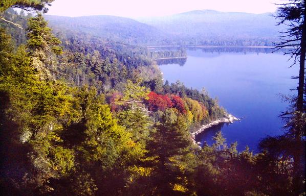 It is very early in the morning. The clear sky has little color yet and is almost white. There is a lot of mist and haze in the air. We are standing several hundred feet above a large lake looking out through a large gap in the trees. Other small mountains like the one we are on rise across the lake. The lakeshore and mountains are covered in a forest predominately of dark green spruce and fir. There are a few autumn reds and golds mixed in.