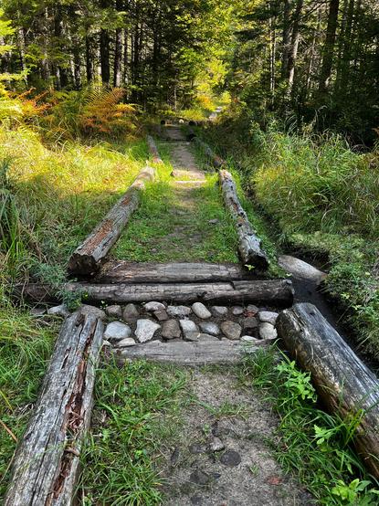A trail through the woods, lined with round logs and occasionally broken with stone channels that allow streams to pass through the trail without swamping it.