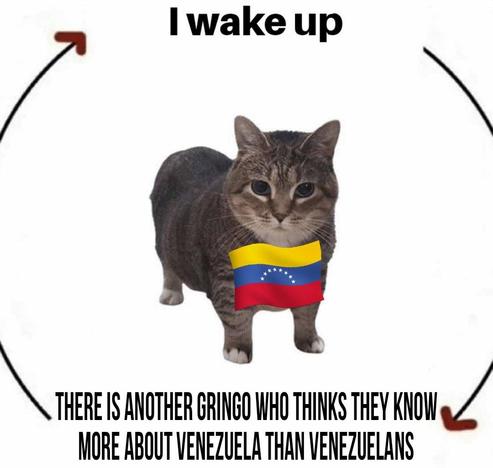 I wake up
THERE IS ANOTHER GRINGO WHO THINKS THEY KNOW
MORE ABOUT VENEZUELA THAN VENEZUELANS meme