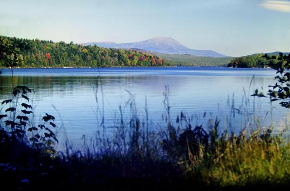 Beneath a soft light blue sky with a single small cloud in the upper right corner of the photo, we are standing on a shady portion of the shore of a large lake. Our portion of shoreline is covered with tall grasses and a few leafy shrubs. The far shores are low forested ridges, mostly covered with evergreens sprinkled with a few hardwoods showing red, orange or gold autumn foliage. Beyond those ridges, a bit hazy with distance, rises a massive lofty mountain, with extensive alpine regions in its top half.