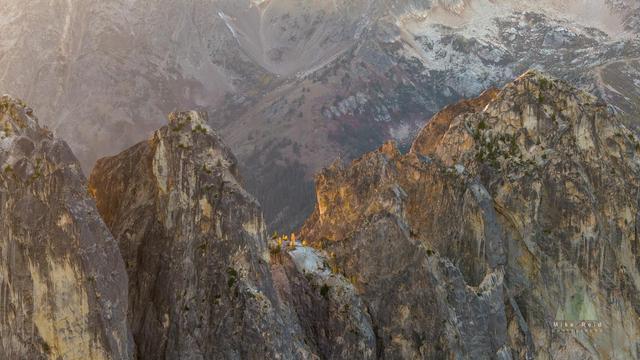 Last light on several Larches atop Early Winters Spires North Cascades.