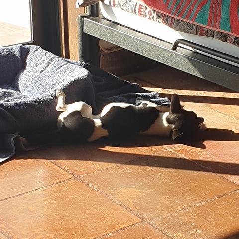 Niki new nap pose