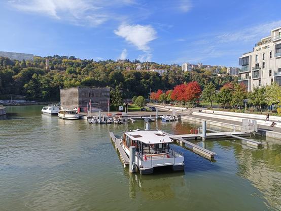Vue prise d'une passerelle du port de plaisance où est amarrée une des navettes de la flotte des transports en commun lyonnais. Plus loin, près d'un bâtiment recouvert de bois gris, le bateau de type vaporetto qui attend de repartir. On aperçoit des bâtiments très modernes à droite, des arbres alignés au feuillage rouge et, en face, une colline boisée avec quelques immeubles. Le ciel est bleu et lumineux, avec quelques nuages blancs.