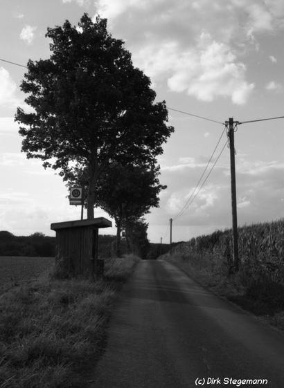 Das Münsterland auf Film in Schwarz und Weiss