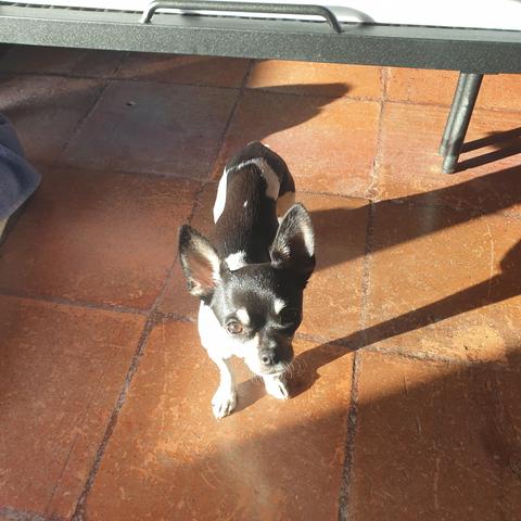niki standing up and looking at me