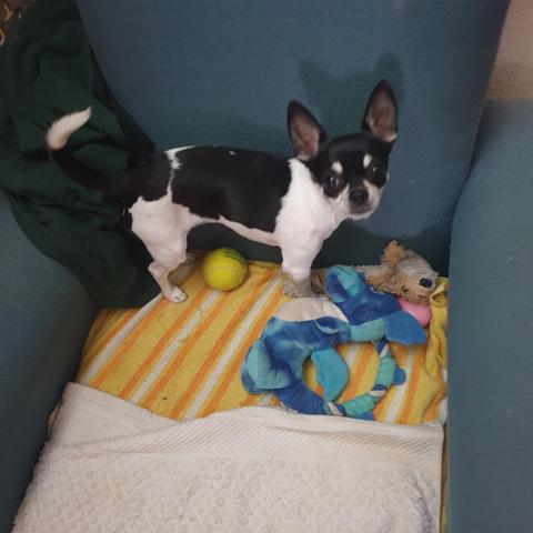 and she wants to play