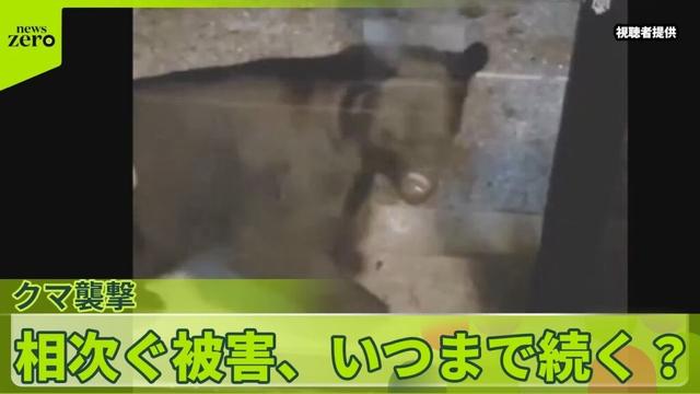 【クマ襲撃】散歩中に背後から…女性ケガ　襲われたとみられる男性遺体も　相次ぐ被害、いつまで続く？