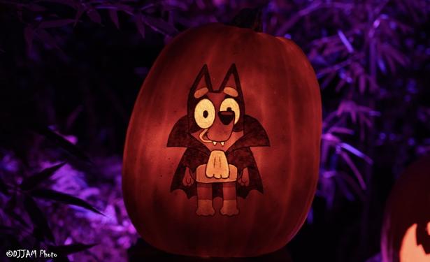 The image features a carved pumpkin with a Halloween theme, showcasing a black bat wearing a costume. The pumpkin is illuminated by orange light, making it the focal point of the scene. Surrounding the pumpkin are other carved pumpkins, creating a festive atmosphere.