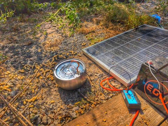 A solar powered water fountain for birds and accessible for ground animals