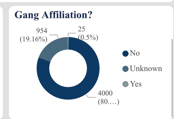 A pie chart titled "Gang Affiliation?" illustrating survey results. The chart shows three categories: "No" (80%, 4000), "Unknown" (19.16%, 954), and "Yes" (0.5%, 25):