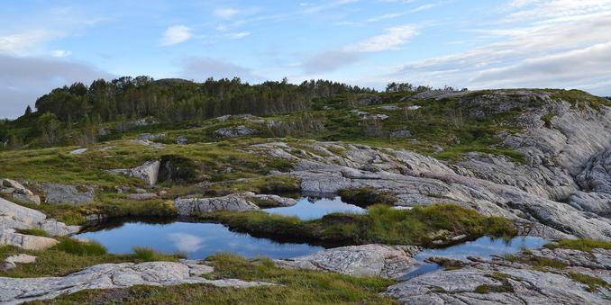 A photo of a rocky landscape with pools of water. There's a forest in the distance. The sky is blue with some clouds in it.