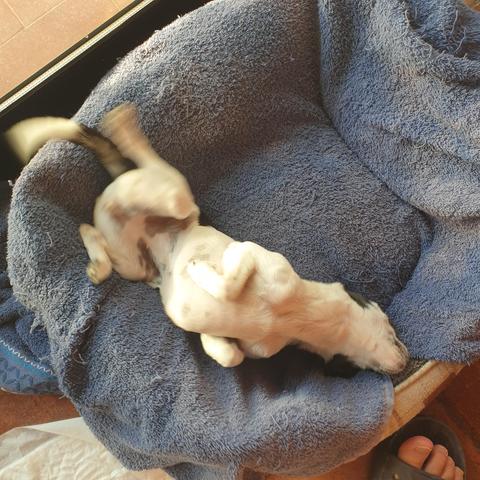 niki playing on her bed