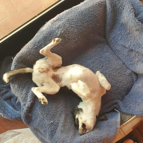 niki playing on her bed