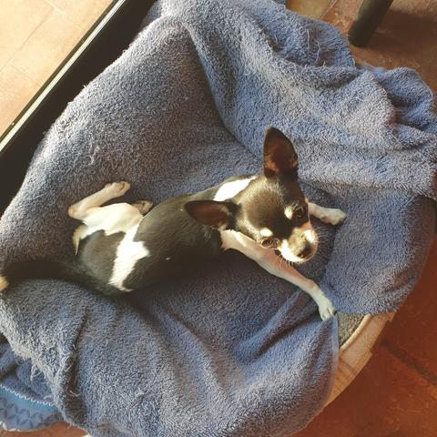 niki playing on her bed