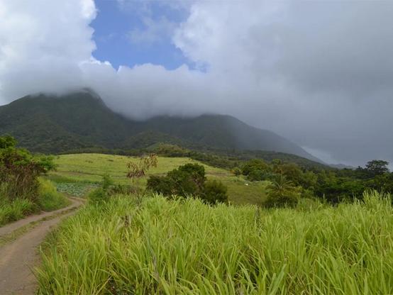 Mount Liamuiga in St Kitts.jpg