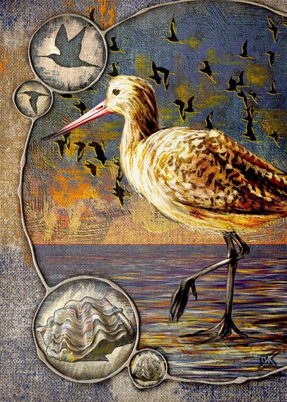Illustration of a Godwit bird, framed in raised filigree circles containing bird silhouettes, oysters, and a flock of godwits against a seascape with clouds lit by a sunset. Heavily textured against a canvas background, with predominant blues, oranges, and browns.
