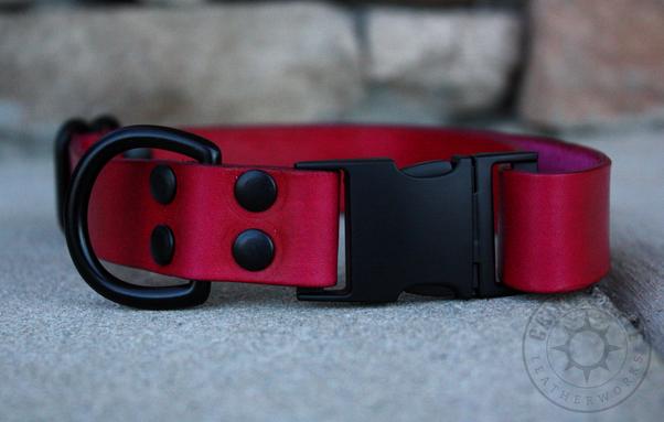 The red collar