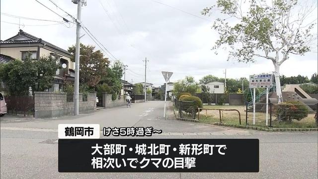 山形市平清水の山中でイノシシ用のわなにクマ1頭がかかる　捕獲時に暴れたためその場で駆除　鶴岡市の市街地でもクマの目撃相次ぐ
