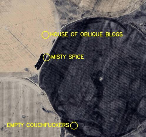 Aerial satellite photo labelled in bright yellow letters: 

1. House of Oblique Blogs
2. Empty Couchfuckers
3. Misty Spice