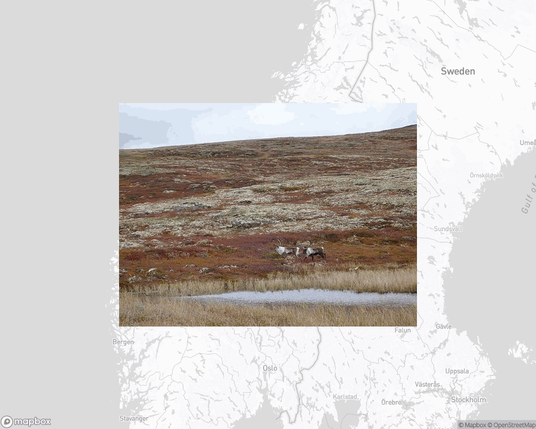 A photo of or from a national park from the linked website, overlaid on a cropped world map where it's located.