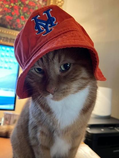 Hadji’s replacement