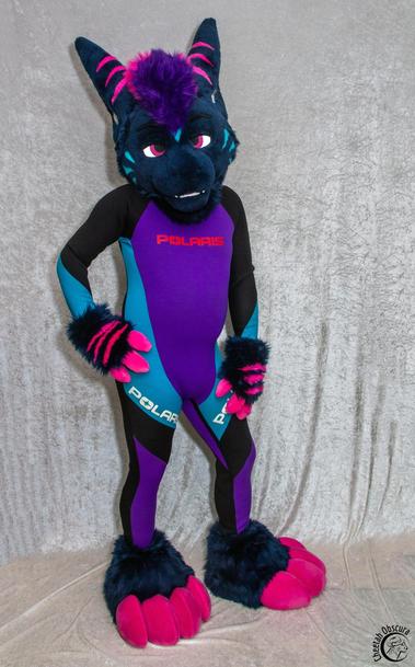 Photo of Rezz in fursuit partial and wearing a purple/cyan/black Polaris wetsuit