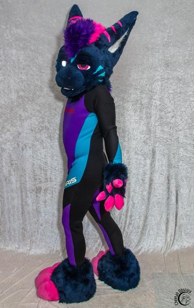 Photo of Rezz in fursuit partial and wearing a purple/cyan/black Polaris wetsuit