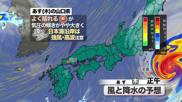 共有