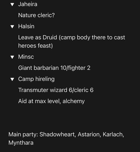 An image features a list of characters and their roles in a gaming context. It includes names like Jaheira, Halsin, and Minsc, along with details about their classes and abilities. There are notes about camp hirelings and the main party