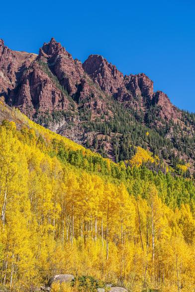 Mountain peaks towering over yellow aspen groves