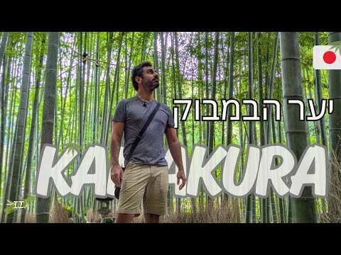 יצאנו לבדוק מה יש מסביב לטוקיו | וולוג יפן פרק 2