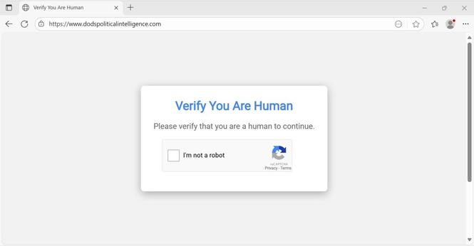 Fake CAPTCHA page, courtesy of the Kongtuke campaign.